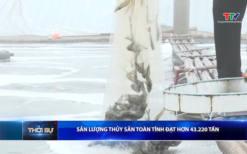 Bản tin Thời sự 9h ngày 26/03/2026 