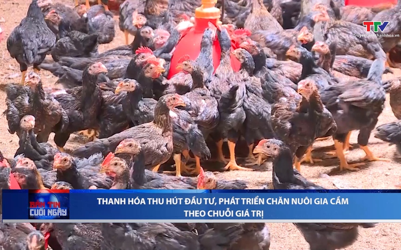 Bản tin Thời sự cuối ngày 28/03/2026