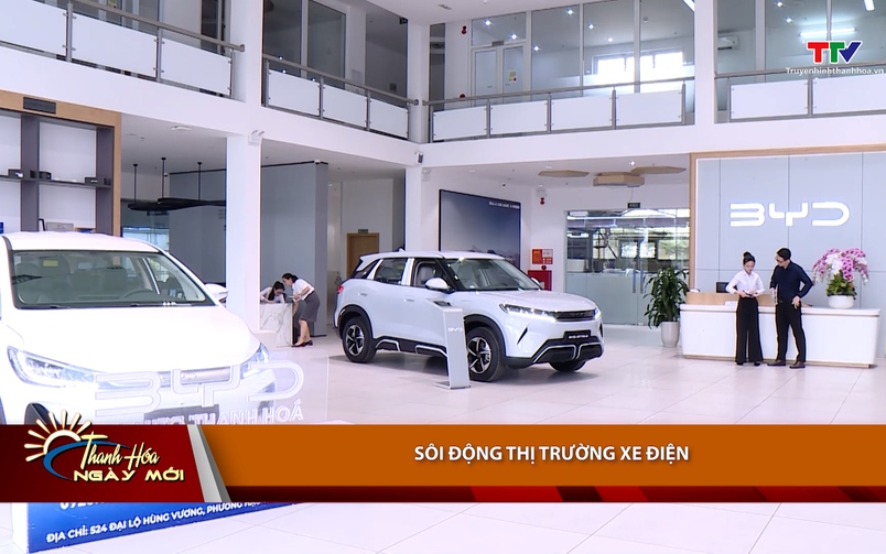 Thanh Hoá Ngày mới 31/03/2026 