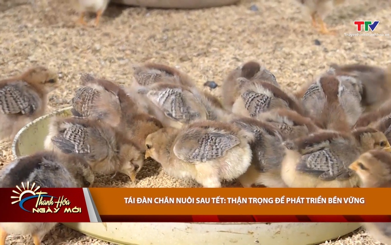 Thanh Hóa ngày mới 06/03/2026