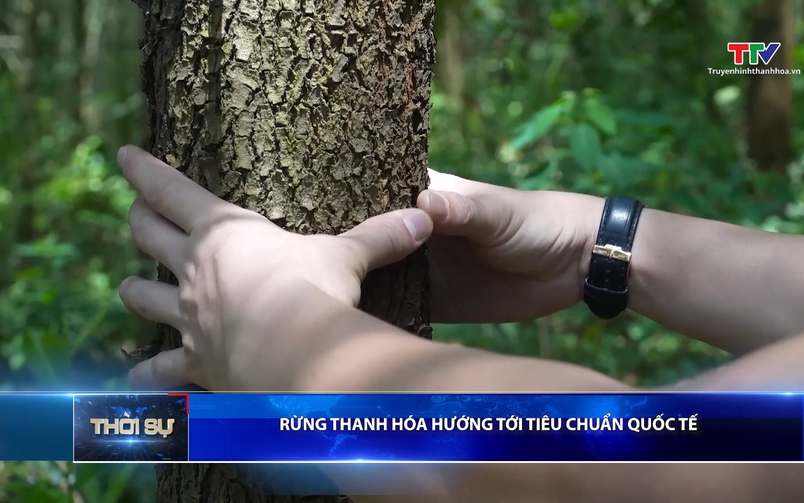 Bản tin Thời sự 9h ngày 11/4/2026