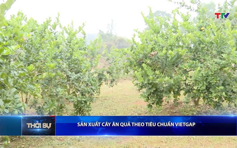 Bản tin Thời sự 16h ngày 10/04/2026