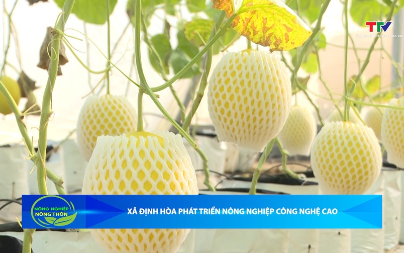 Bản tin Nông nghiệp - Nông thôn ngày 11/4/2026