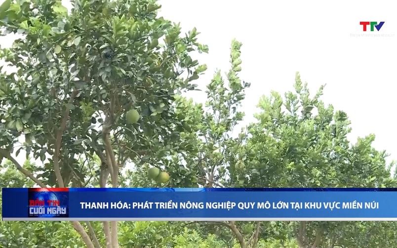 Bản tin Thời sự cuối ngày 12/4/2026