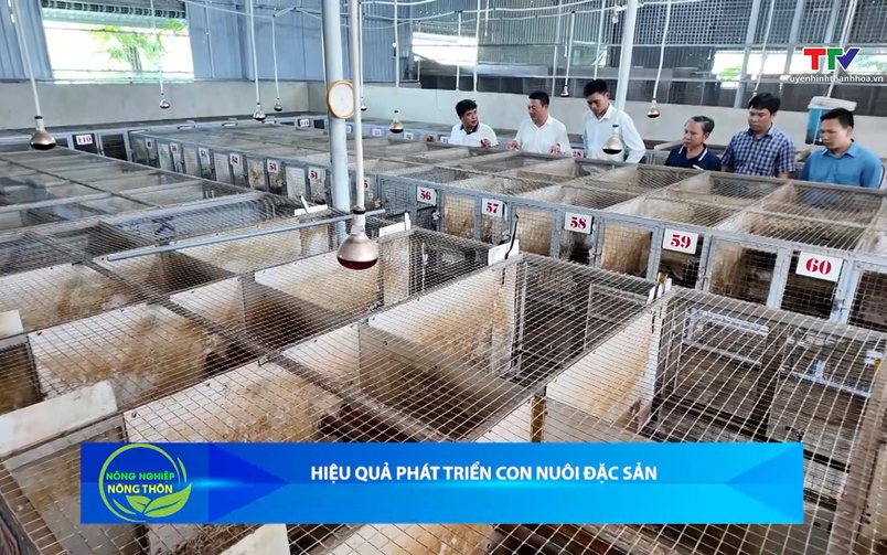 Bản tin Nông nghiệp - Nông thôn ngày 22/4/2026