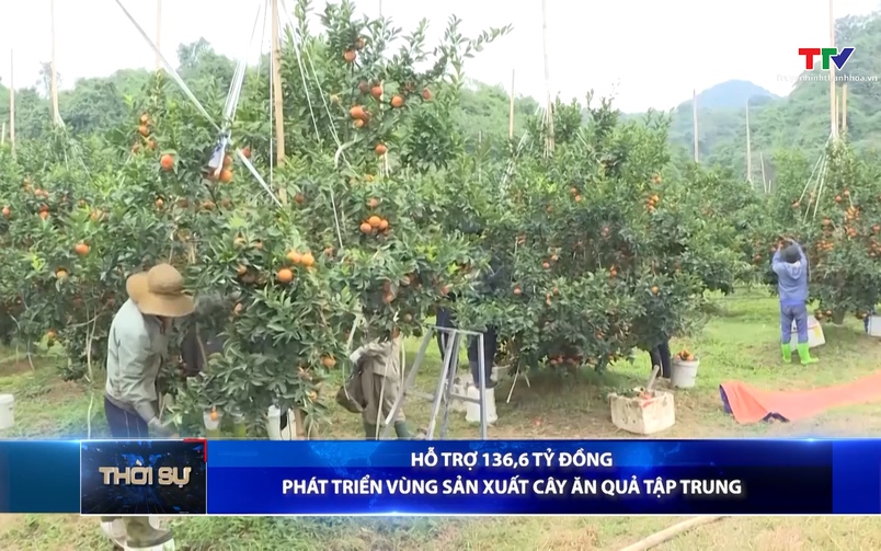 Bản tin Thời sự 9h ngày 24/4/2026