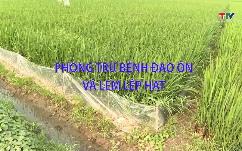 Khuyến nông 7/4/2026