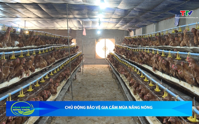 Bản tin Nông nghiệp và Nông thôn ngày 8/4/2026