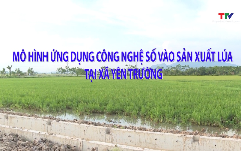 Khuyến nông 12/05/2026