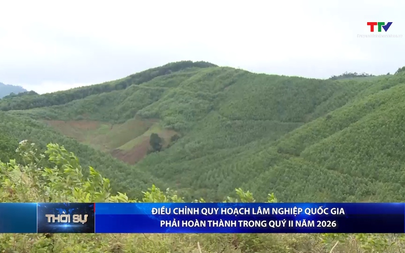 Bản tin Thời sự 16h ngày 13/5/2026