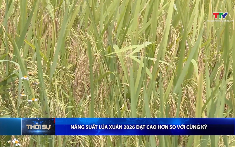 Bản tin Thời sự 9h ngày 15/5/2026