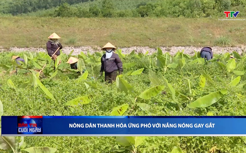 Bản tin Thời sự cuối ngày 25/05/2026 