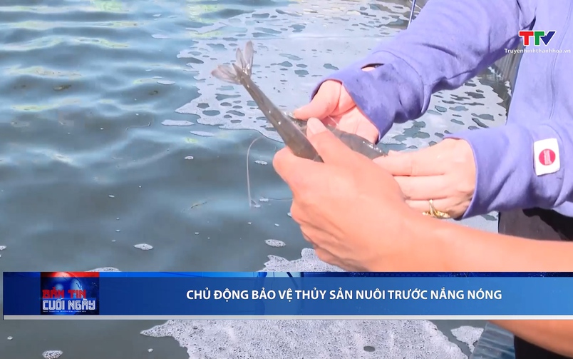 Bản tin Thời sự cuối ngày 27/5/2026