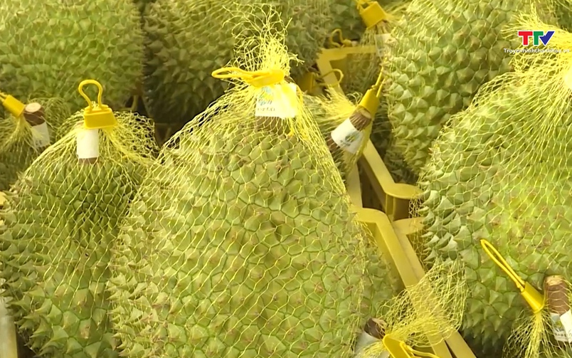 Bản tin Thời sự 14h ngày 03/5/2026