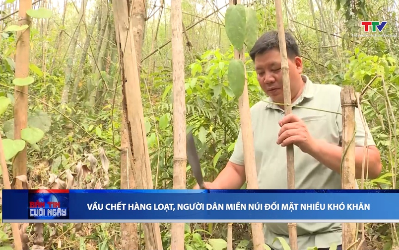 Bản tin Thời sự cuối ngày 7/5/2026