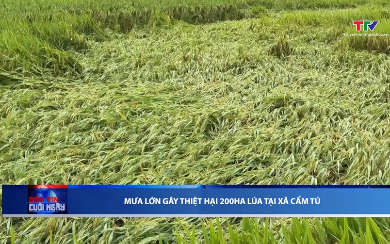 Bản tin Thời sự cuối ngày 09/05/2026