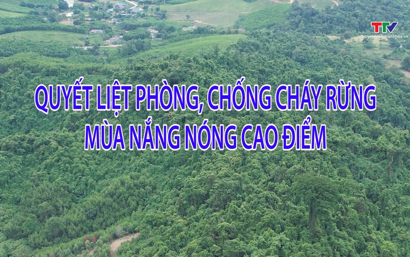Phóng sự: Quyết liệt phòng chống cháy rừng mùa cao điểm