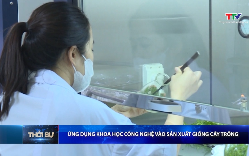 Bản tin Thời sự 16h ngày 02/06/2026