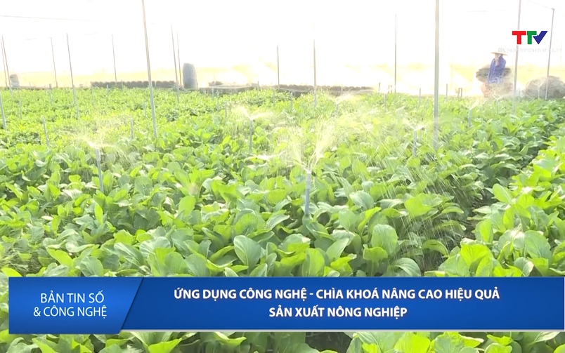 Bản tin Số và Công nghệ ngày 26/6/2026