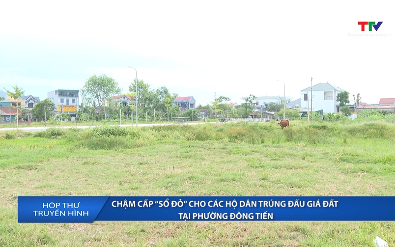 Hộp thư truyền hình 29/06/2026