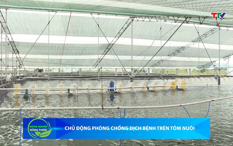 Bản tin Nông nghiệp – Nông thôn 03/06/2026