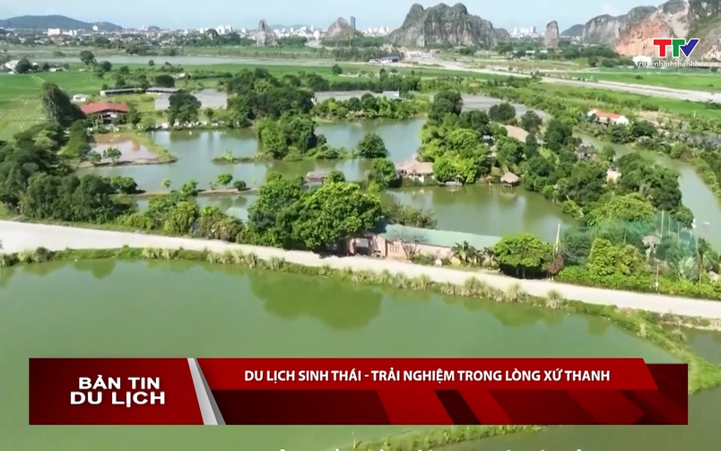Bản tin Du lịch ngày 30/6/2026