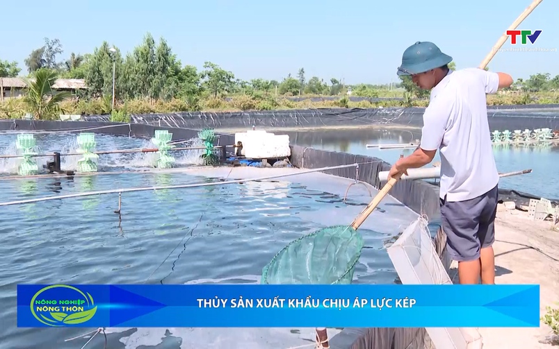 Bản tin Nông nghiệp – Nông thôn ngày 01/7/2026