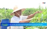 Bản tin Nông nghiệp nông thôn ngày 1/10/2025