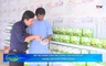 Bản tin Nông nghiệp nông thôn ngày 8/10/2025