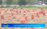 Bản tin Nông nghiệp - Nông thôn ngày 19/4/2025
