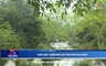 Bản tin Thời sự cuối ngày 11/5/2025