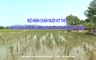 Khuyến nông 10/6/2025