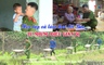An ninh Thanh Hóa ngày 11/6/2025