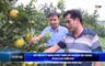 Bản tin Thơi sự 16h ngày 18/6/2025
