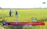Bản tin Thời sự 18h ngày 02/7/2025