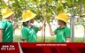 Bản tin Du lịch ngày 2/8/2025