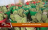 Bản tin Thời sự Thanh Hóa ngày mới 23/8/2025