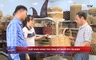 Bản tin Thời sự 18h ngày 10/5/2026