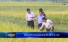 Bản tin Thời sự 14h ngày 12/05/2026