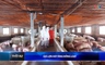 Bản tin Thời sự 9h ngày 13/5/2026