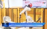 Khoa học và Đời sống 18/05/2026