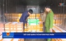 Nhà nước và Pháp luật 21/05/2026