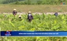 Bản tin Thời sự cuối ngày 25/05/2026 