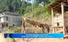 Đại biểu với cử tri 25/05/2026