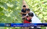 Bản tin Thời sự trưa ngày 31/5/2026
