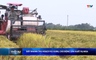 Bản tin Thời sự 14h ngày 31/5/2026