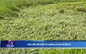 Bản tin Thời sự cuối ngày 09/05/2026
