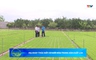 Bản tin Nông nghiệp – Nông thôn ngày 13/06/2026