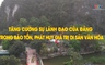 Đảng trong cuộc sống 13/06/2026