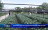 Bản tin Thời sự trưa 14/6/2026